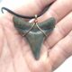 Sehr schöner Megalodon Haizahn als Halskette