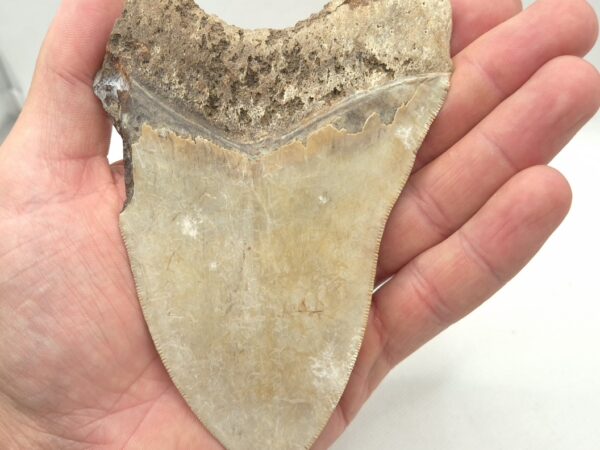 Indonesien Sukabumi District