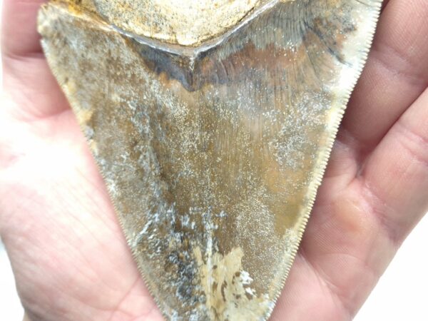 Traumhaft schönes Muster