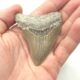 Fossil