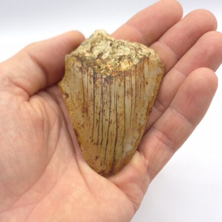 West Java Indonesien