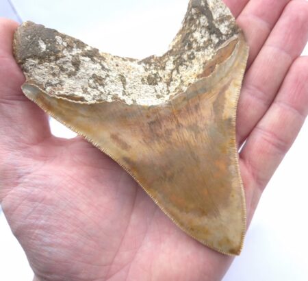 Traumhaft schöne Farben