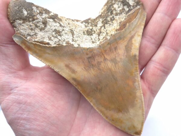 Traumhaft schöne Farben