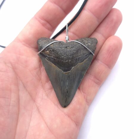 Halskette mit Megalodon Haizahn