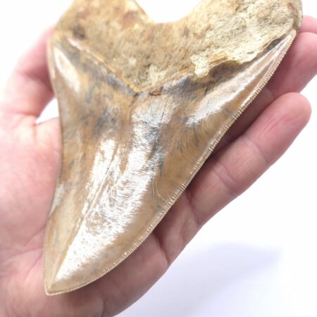 Traumhaft schöne Farben