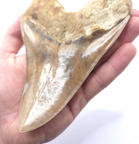 Traumhaft schöne Farben