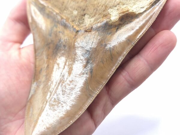 Traumhaft schöne Farben