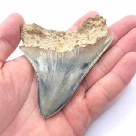 Klasse Muster und sehr schöne Farben