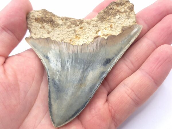 Klasse Muster und sehr schöne Farben