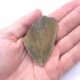 Fragment eines Megalodon Haizahn