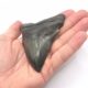 Schwarze Bourlette