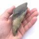 Megalodon Heartbreaker