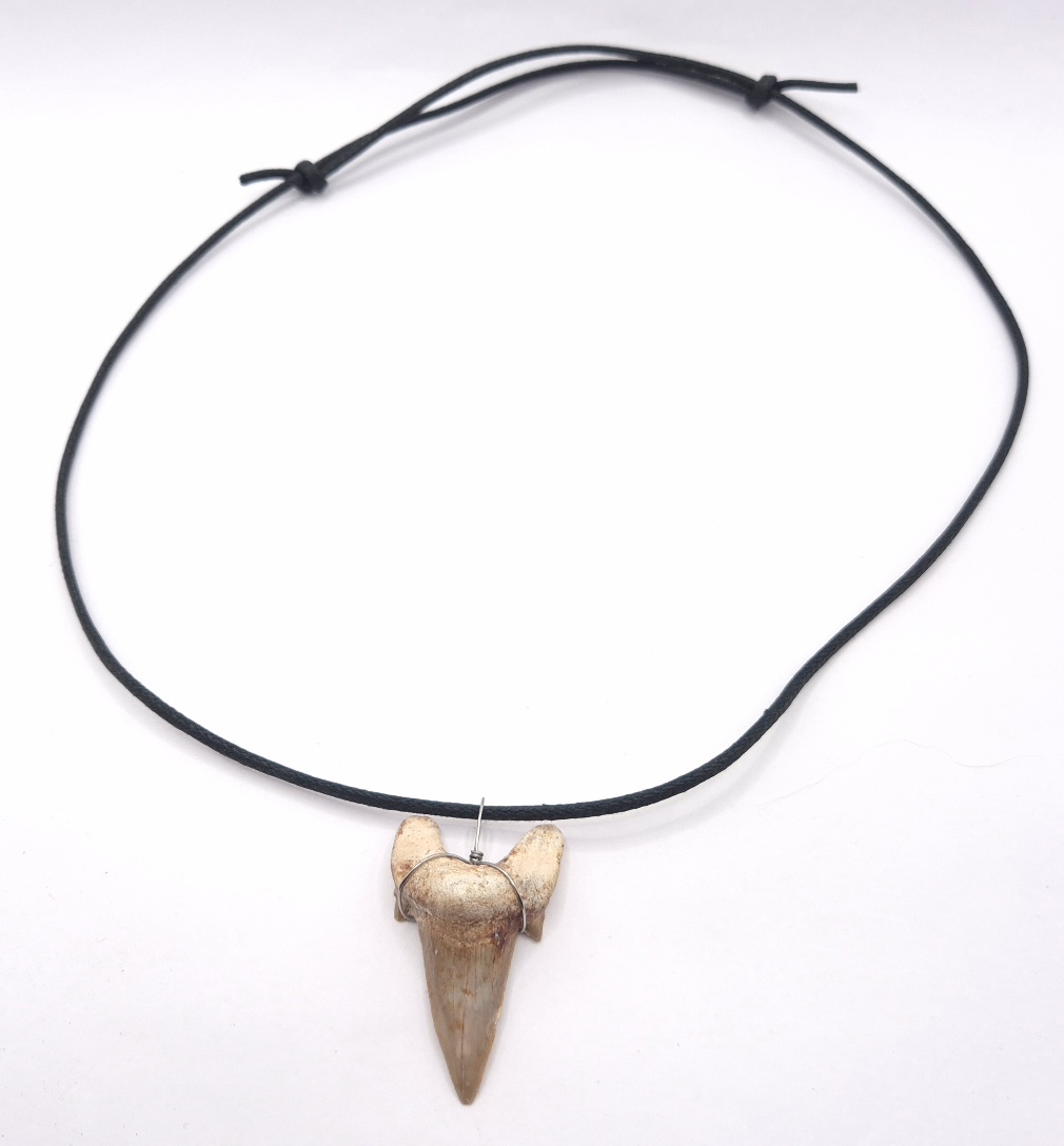 Otodus Obliquus Schreckenshai Halskette Schmuck schön